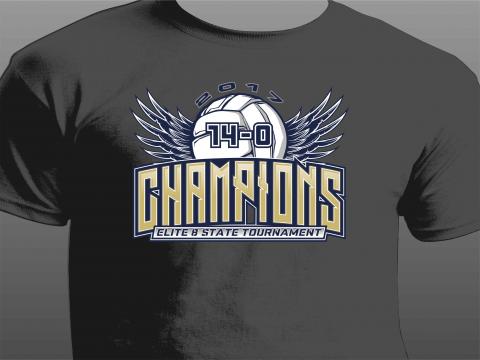 Volleyball Champions t-shirt